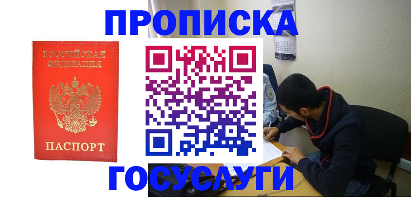 прописка для школы в Новгородской области